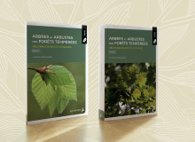 Visuels des tomes du livre "Arbres et Arbustes des forêts tempérées - reconnaissance et écologie de François Lebourgeois