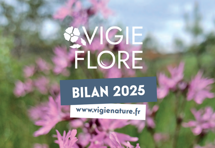 Image grande en haut d'une actu (700 x 480px)(37)