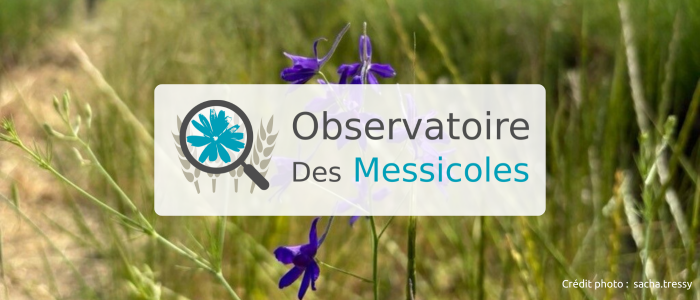 Bandeau Actu Grand (700 x 300 px)(9)