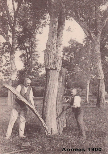 Design sans titre(5)