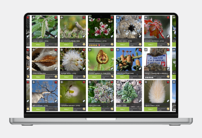 Image grande en haut d'une actu (700 x 480px)(48)