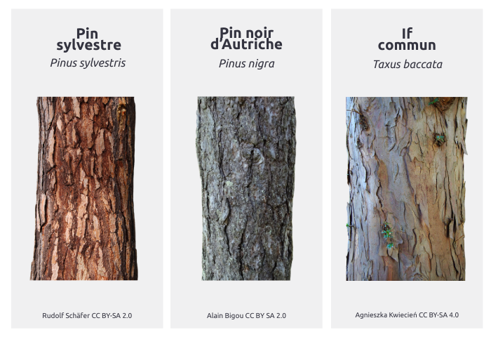 Image grande en haut d'une actu (700 x 480px)(55)