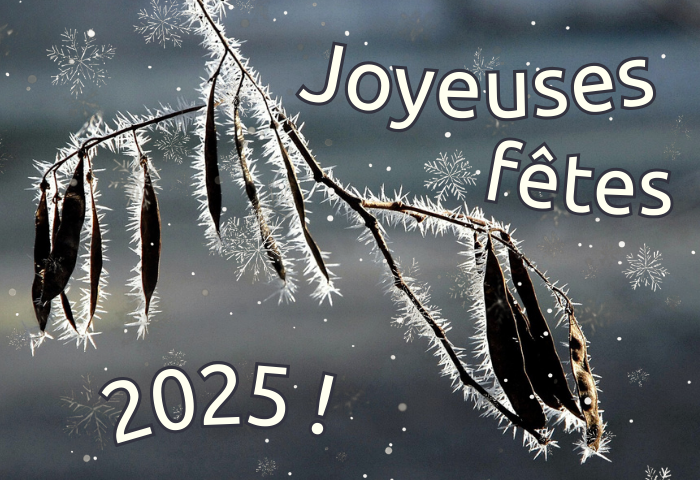 Robinia pseudoacacia L. par Jean-Landry NICOLAS