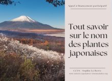 Campagne de financement sur ULULE