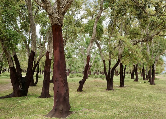 file-20251113-56-12hm7