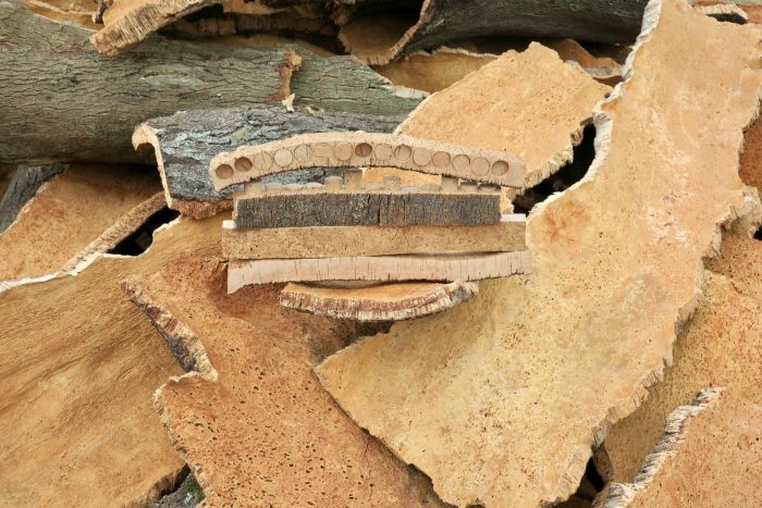 file-20251113-56-bjgmt7