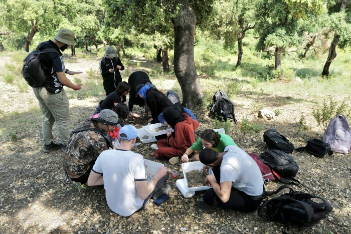 file-20251113-56-gb8sbl