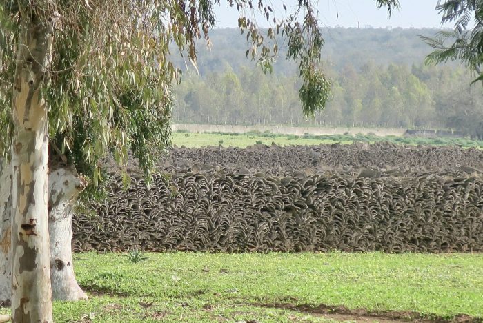 file-20251113-66-dh58a7