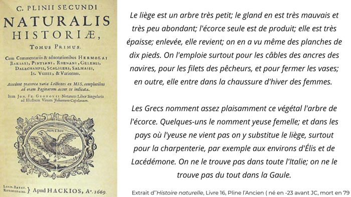 file-20251113-76-sh52d2