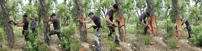 file-20251117-56-nh1z9n