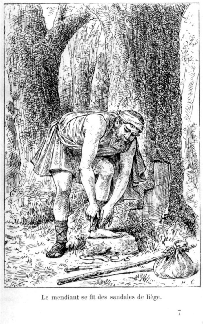 file-20251118-56-drois4