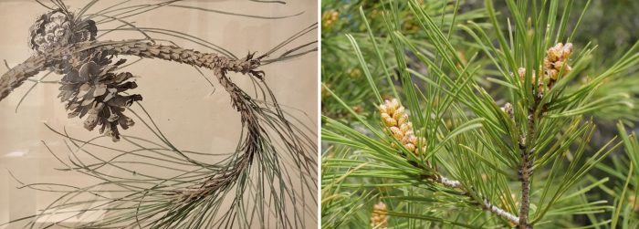 file-20251211-56-p7wuzg