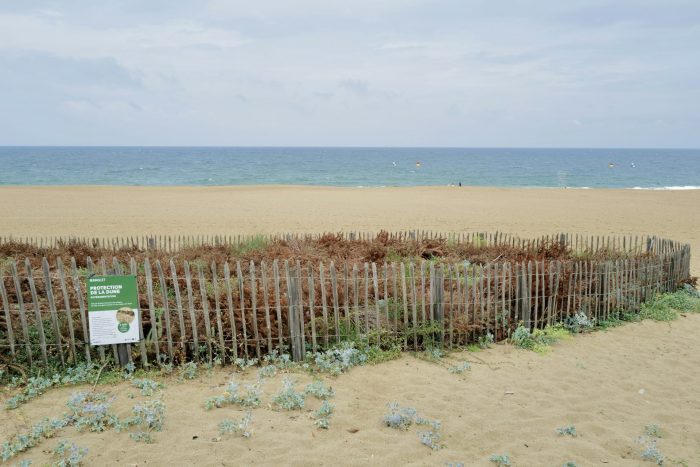 file-20251211-70-dexk45