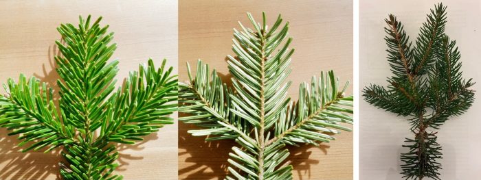 file-20251215-56-u7whsf