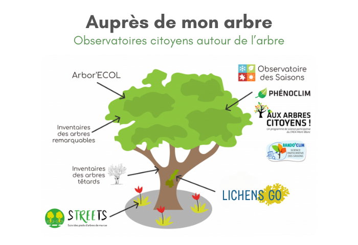 2026 Image grande en haut d'une actu (700 x 480px)