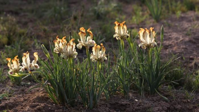 Capture d'écran 2026-01-08 134016