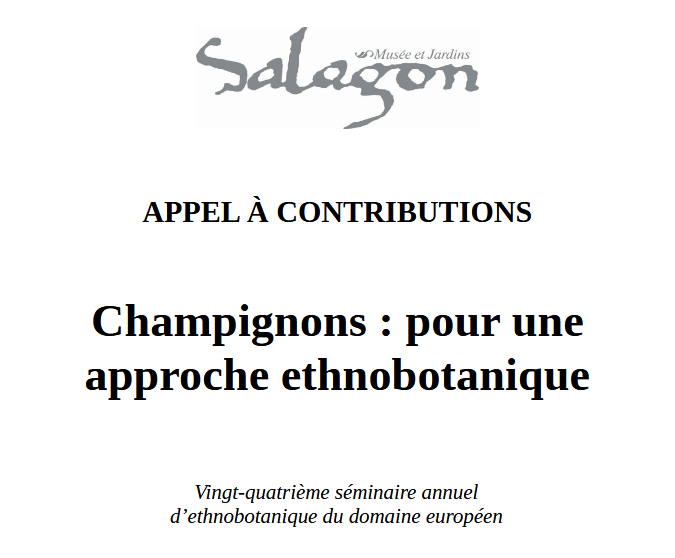 Capture d'écran 2026-04-05 084726