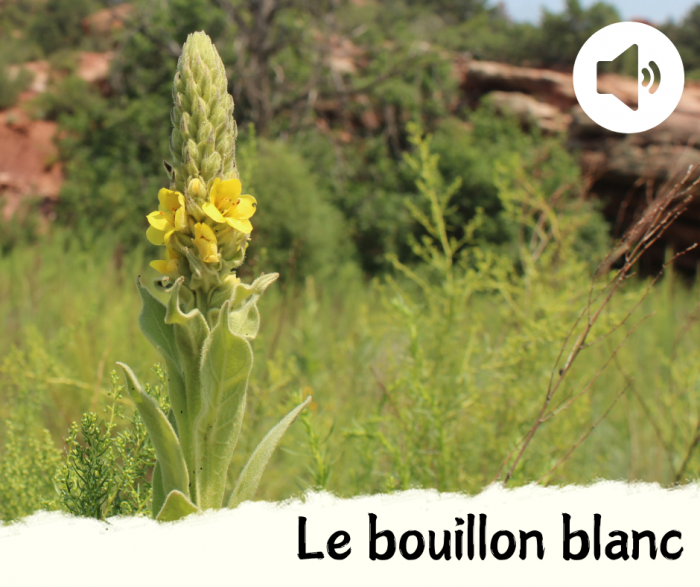 Couvertures-SAH-Acast-7