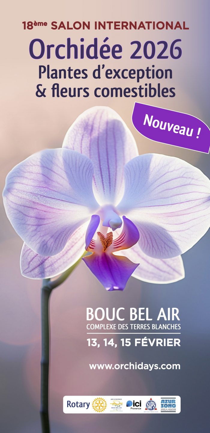 Flyer Orchidée - 2026