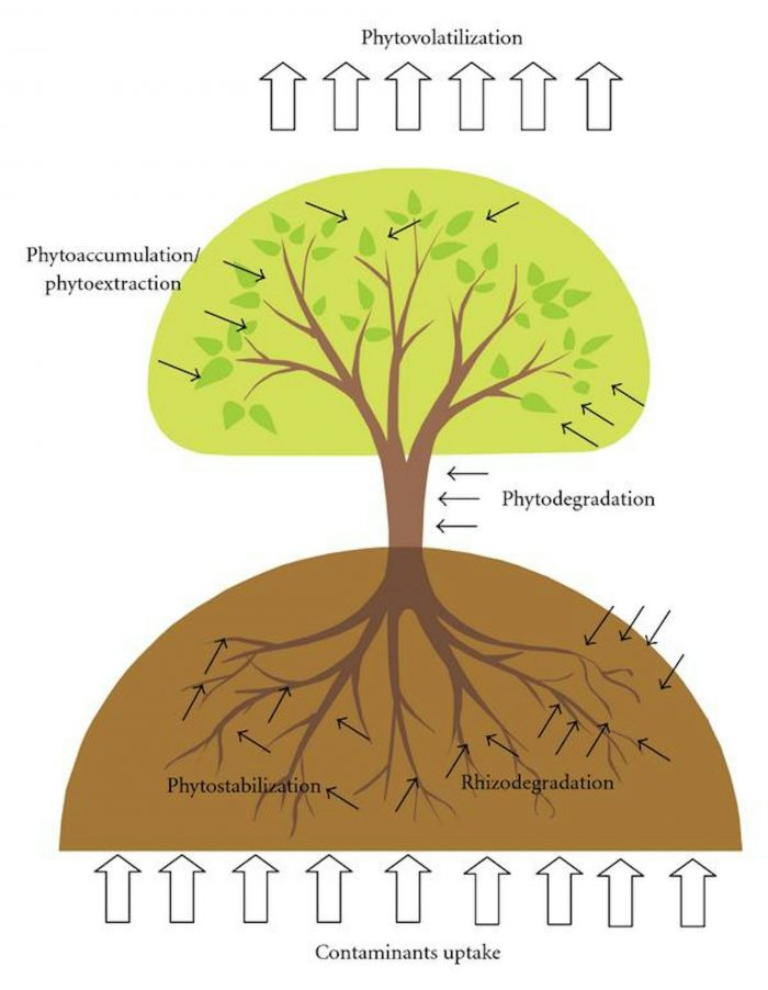 file-20240131-15-cz6313