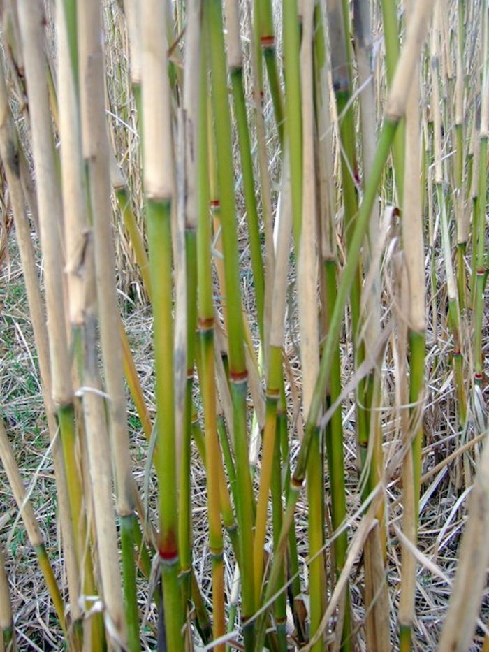 file-20250922-66-1o26e1