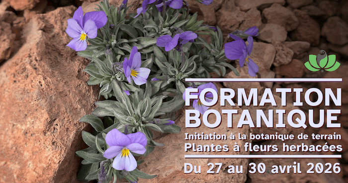 formation-botanique