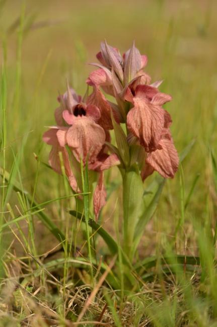 galerie_5341_21507_maxi