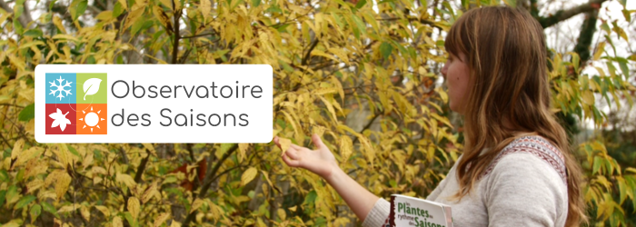 Bandeau Actu Moyen (700 x 250 px)(29)