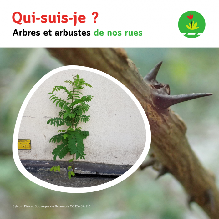 Carrousels SDMR Facebook 2026 (1800 1800)(16)