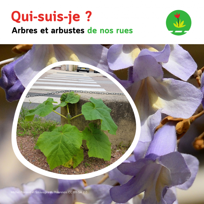 Carrousels SDMR Facebook 2026 (1800 1800)(19)