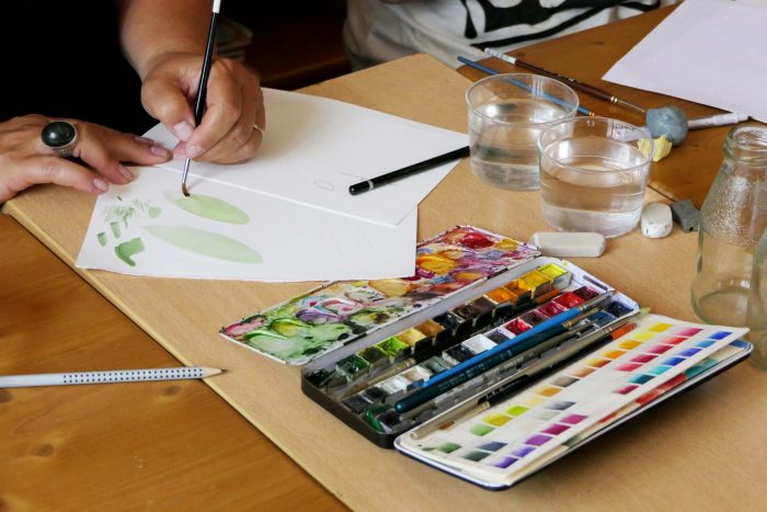 Illustration-Botanique-©-Domaine-du-Rayol-AT-221