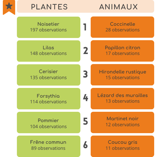 Les espèces les plus observées de l'ODS en 2025