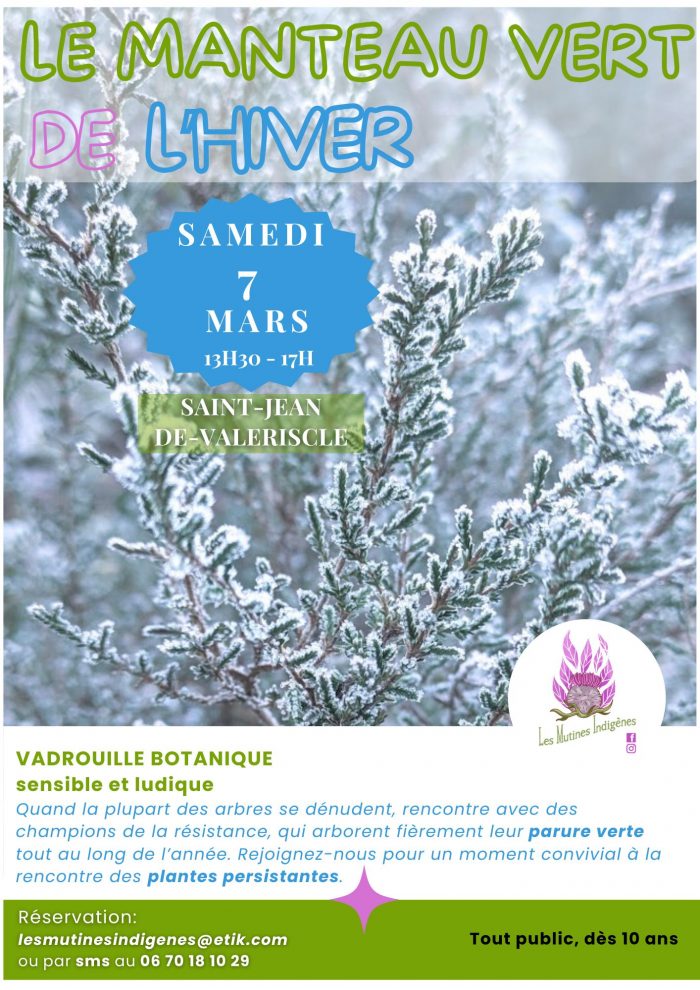 Le manteau vert de l'hiver A4