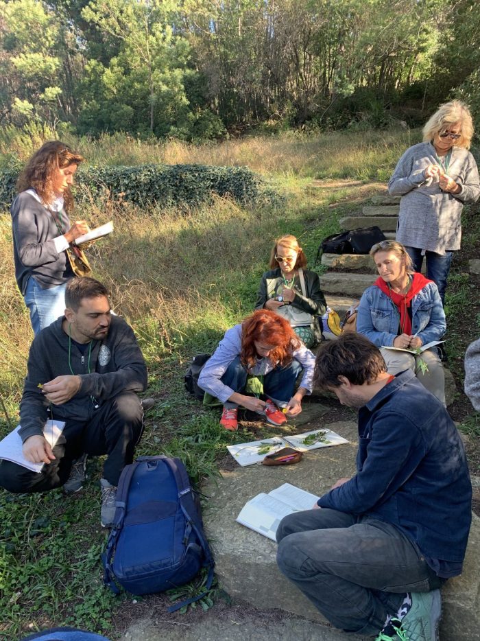 Perfectionnement-à-la-botanique-©-Domaine-du-Rayol-Amélie-Tiennot