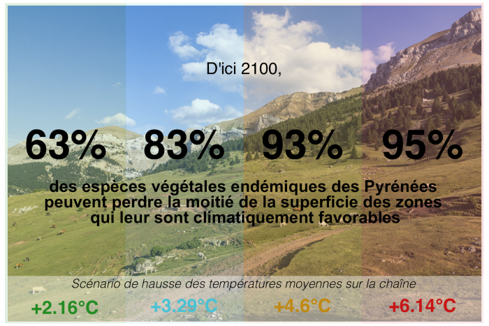 file-20260212-56-toowjm