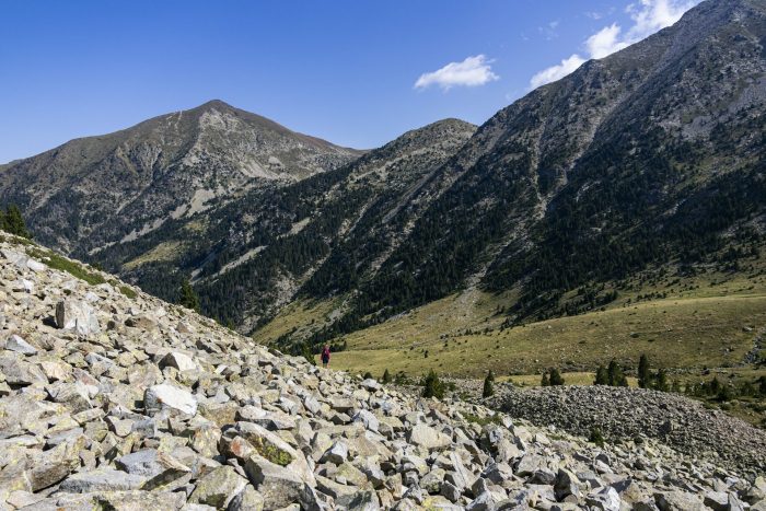 file-20260212-56-wcma9b