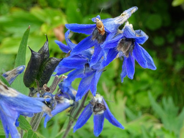 file-20260218-56-xlp7c1