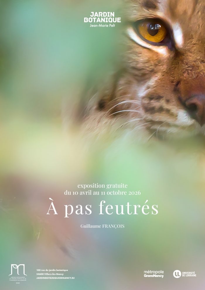 AfficheA3_Pas-feutres