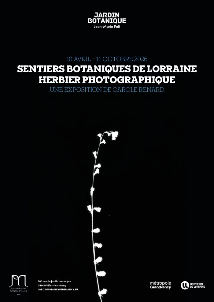 Affiche_Carole-Renard