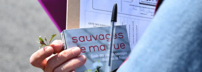 Bandeau Actu Moyen (700 x 250 px)(31)