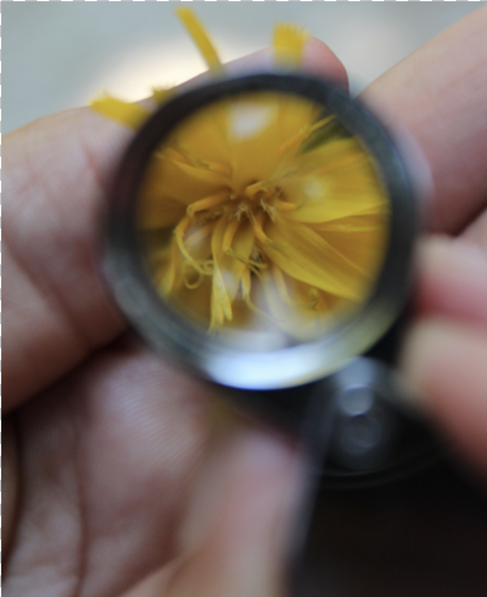 Capture d’écran 2026-03-02 à 15.43.24