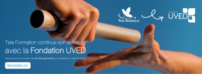 Couverture-Facebook-Tela-Formation3