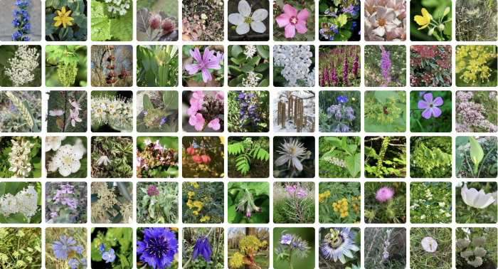 file-20260305-57-yoet36