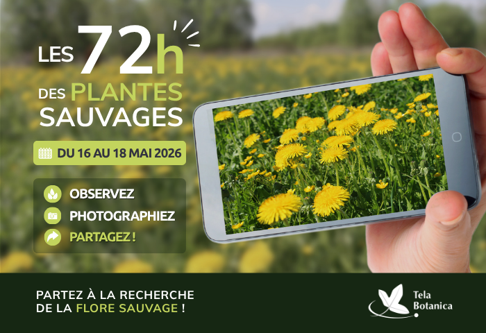 2026 Image grande en haut d'une actu (700 x 480px)(16)
