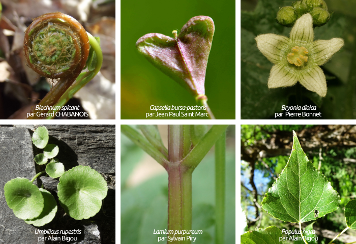 2026 Image grande en haut d'une actu (700 x 480px)(18)