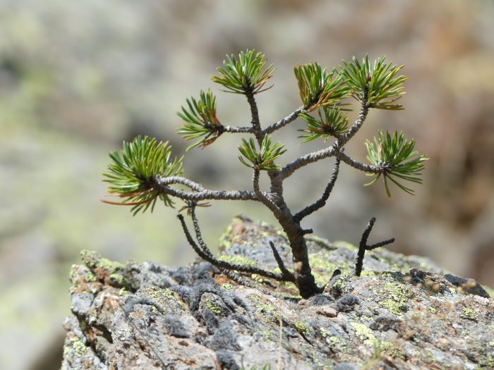 MONDELHS 2025 08 25 (59)