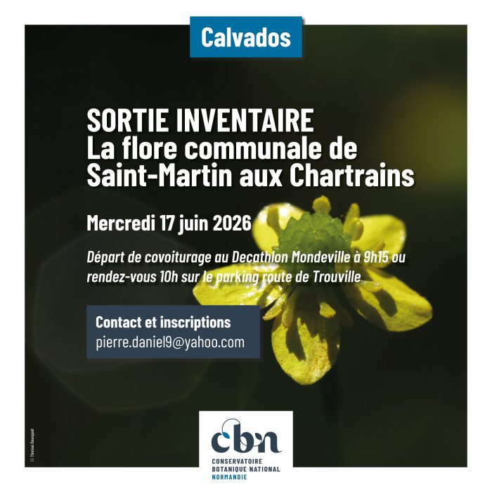 Sortie Saint Martin aux Chartrains