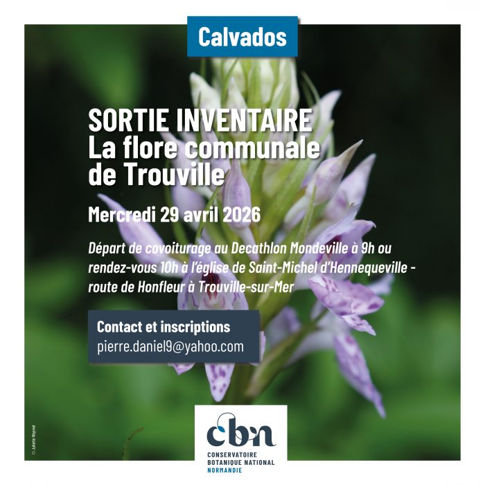 sortie inventaire Trouville