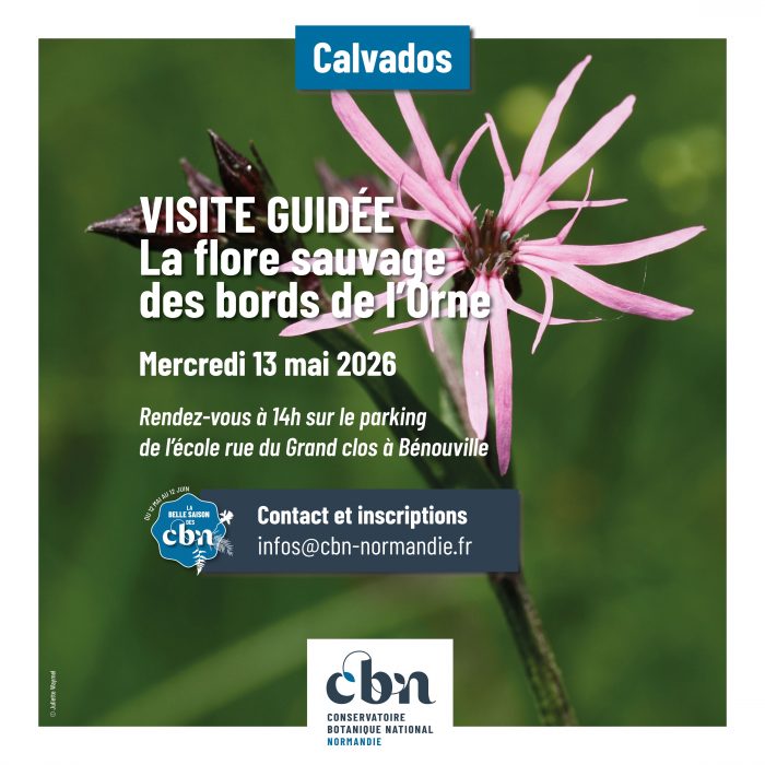 Sortie bords de l'Orne