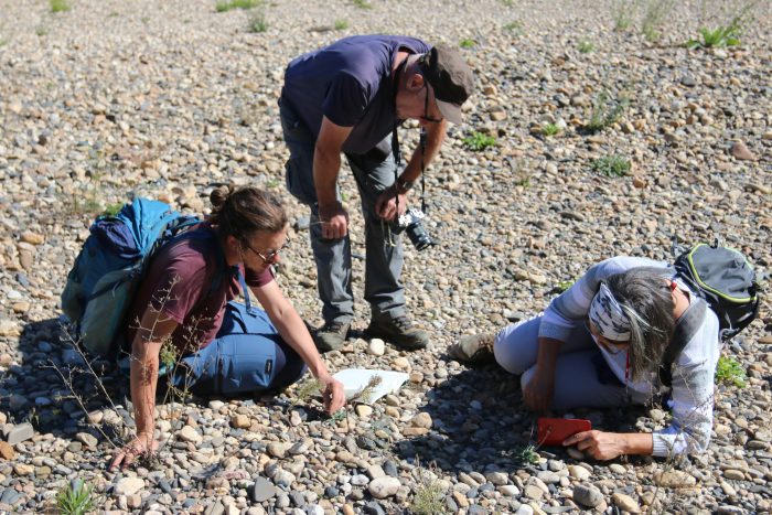 Reseau_obs_03_IMG_9880